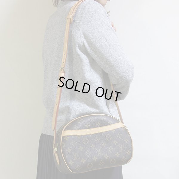 ルイ・ヴィトン ブロワ M51221　掛けたイメージ