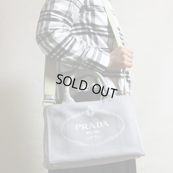 プラダ カナパ トートバック 1BG439 NUBE 持ったイメージ(2)