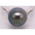 PT900 黒蝶パールダイアイリリング 11.50mm 0.11ct 7.20g　拡大