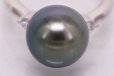 PT900 黒蝶パールダイアイリリング 11.50mm 0.11ct 7.20g　拡大
