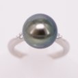 PT900 黒蝶パールダイアイリリング 11.50mm 0.11ct 7.20g