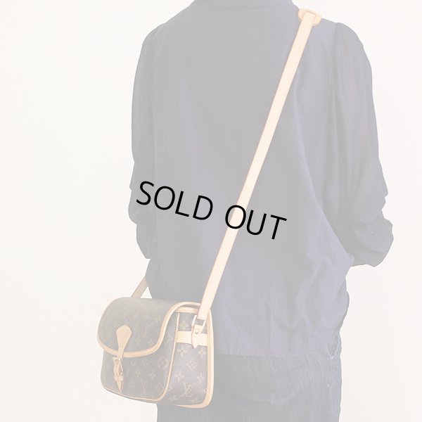 ルイ・ヴィトン　ソローニュ M42250 SL0073　掛けたイメージ