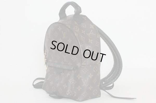 ルイ・ヴィトン パームスプリングス バックパック PM M41560 サイド