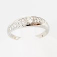 PT900 ダイアイリリング 0.231ct 0.22ct 4.90g