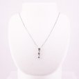 PT850/900 ダイアイリペンダントネックレス 0.70ct 0.50ct 6.60g　装着イメージ