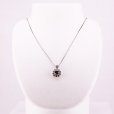 PT850/900 ダイアイリペンダントネックレス 2.160ct 1.50ct 8.30g　装着イメージ