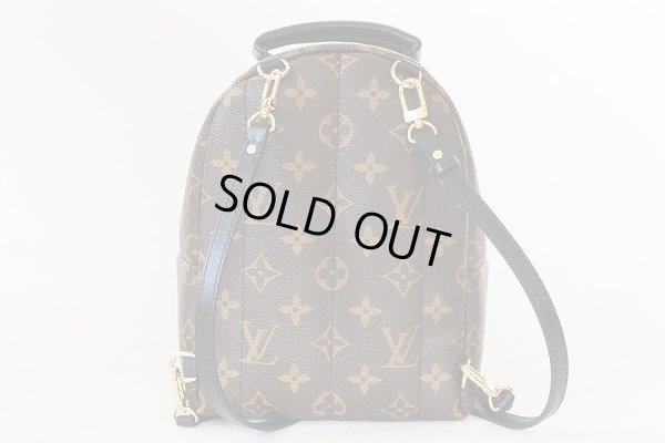 ルイ・ヴィトン　パームスプリングス　バックパックMINI　M41562　裏面(2)