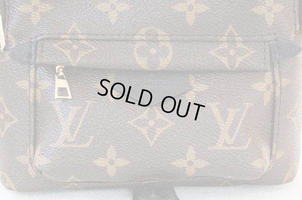 ルイ・ヴィトン　パームスプリングス　バックパックMINI　M41562　表面拡大