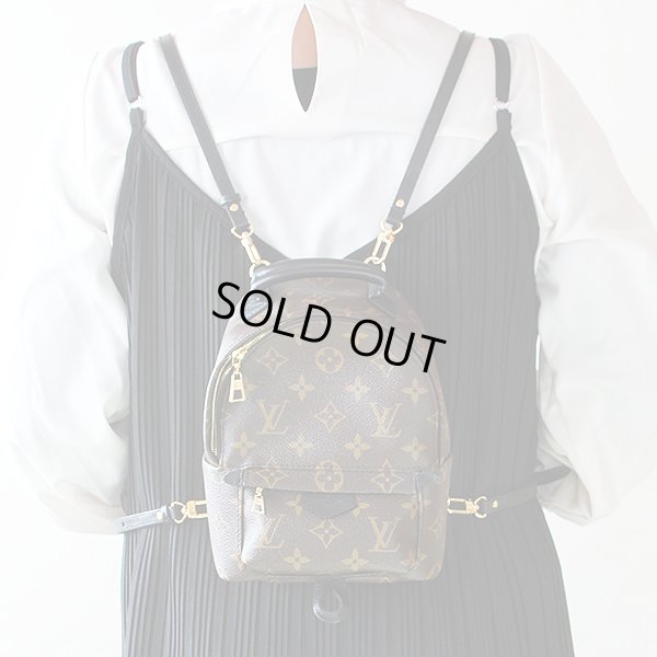 ルイ・ヴィトン　パームスプリングス　バックパックMINI　M41562　背負ったイメージ