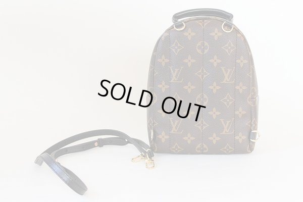ルイ・ヴィトン　パームスプリングス　バックパックMINI　M41562　裏面(1)