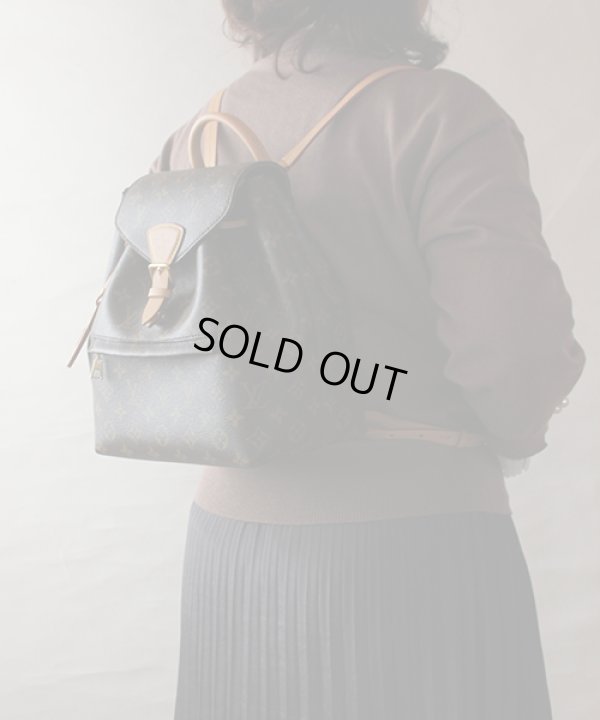 ルイ・ヴィトン　モンスリ NM PM M45501　背負ったイメージ