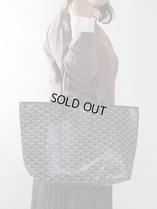 ゴヤール　サンルイPM ネイビー　持ったイメージ