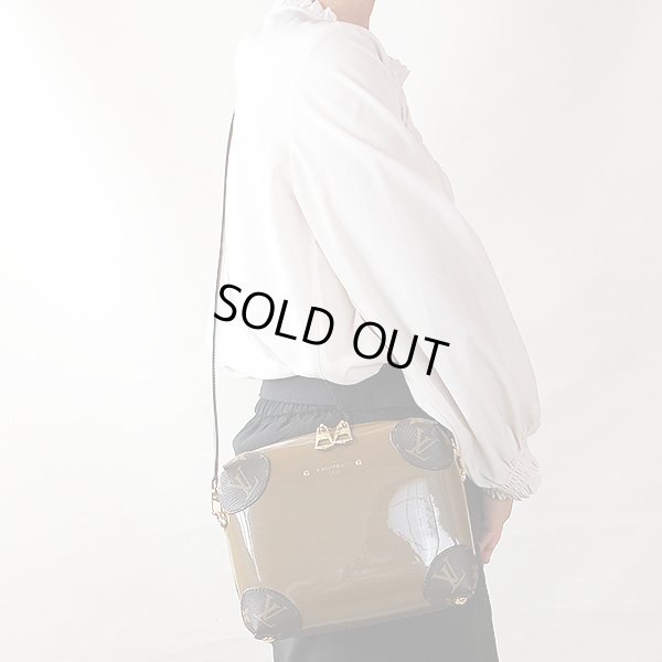 ルイ・ヴィトン　ヴェニス M54390 ヴェールブロンズ　掛けたイメージ