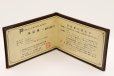 ポーラ　PT900 ダイアイリリング 0.50ct 5.80g　保証書