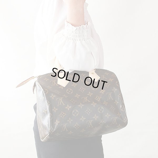 ルイ・ヴィトン　スピーディ25 M41109　持ったイメージ