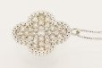 PT850/900 ダイアイリペンダントネックレス 1.00ct 5.70g　拡大