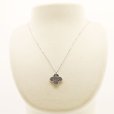 PT850/900 ダイアイリペンダントネックレス 1.00ct 5.70g　装着イメージ