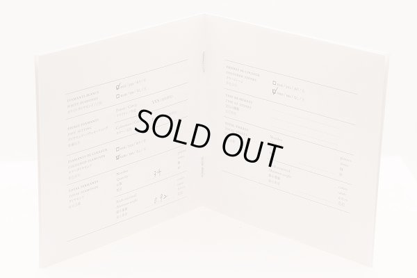 エルメス　750PG フィネス ダイアイリピアス 0.92ct(34P) 4.10g　保証書