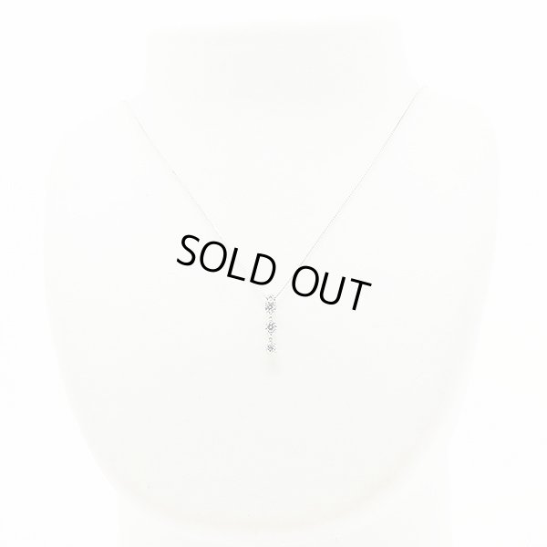 PT850/900 ダイアイリペンダントネックレス 0.60ct 4.90g　装着イメージ