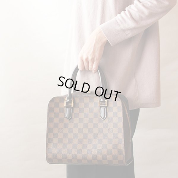 ルイ・ヴィトン トリアナ N51155 持ったイメージ