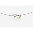 PT850/900 ルビーダイアイリペンダントネックレス 0.95ct 0.17ct 3.60g　留め具