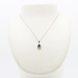 PT850/900 サファイアダイアイリペンダントネックレス 0.53ct 0.41ct 4.20g　装着イメージ