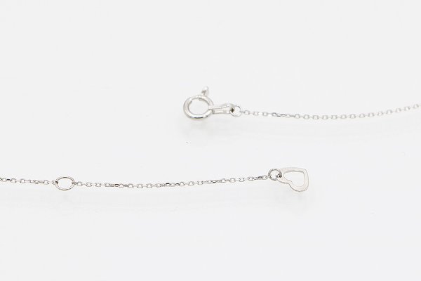 ポンテヴェキオ　PT999/850 ダイアイリペンダントネックレス 0.37ct 2.70g　留め具外したイメージ