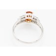 PT900 スペサルティンガーネットダイアイリリング 1.31ct 0.24ct 3.80g　内側