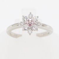 PT900 ダイアイリリング 0.05ct 0.45ct 4.30g