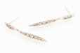 カシケイ　K18BG ネイキッド ダイアイリピアス 1.00ct 3.70g　イメージ
