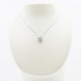 PT850/900 ダイアイリペンダントネックレス 0.50ct 4.60g　装着イメージ