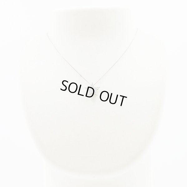 PT850/900 ダイアイリペンダントネックレス 0.50ct 4.60g　装着イメージ