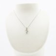 PT850/900 ダイアイリペンダントネックレス 0.35ct 4.90g　装着イメージ