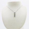 PT900/850 ダイアイリペンダントネックレス 0.077ct 1.46ct 6.20g　装着イメージ