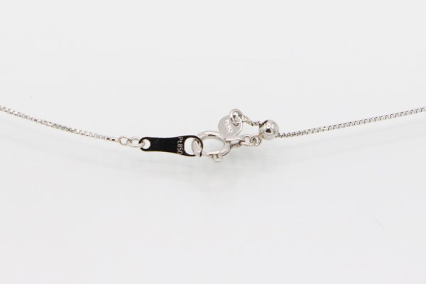 PT900/850 ダイアイリペンダントネックレス 1.00ct 5.20g　留め具