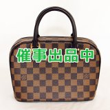 ルイ・ヴィトン　サリア・ミニ N51286
