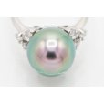 PT900 黒蝶パールダイアイリリング 11.50mm 0.30ct 6.30g　拡大