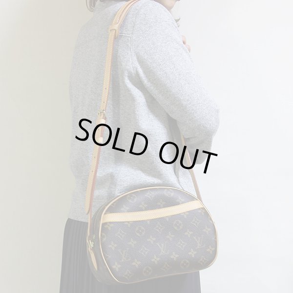 ルイ・ヴィトン ブロワ M51221　掛けたイメージ