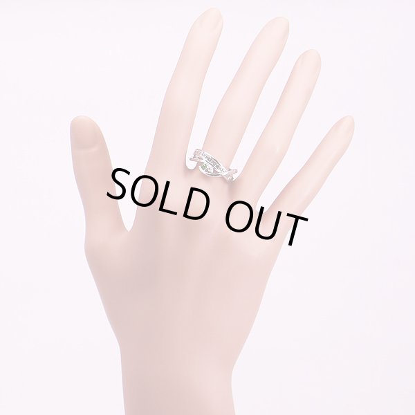 PT900 デマントイドガーネットダイアイリリング 0.08ct 0.71ct 7.60g　装着イメージ