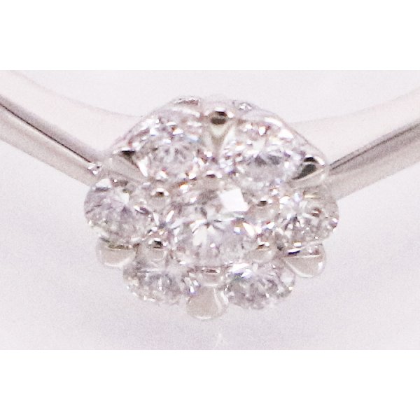 PT950 ダイアイリリング 0.50ct 4.60g　拡大