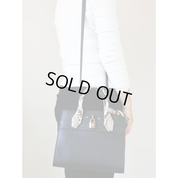 ルイヴィトン　シティスティーマPM N95523 ノワール　装着イメージ