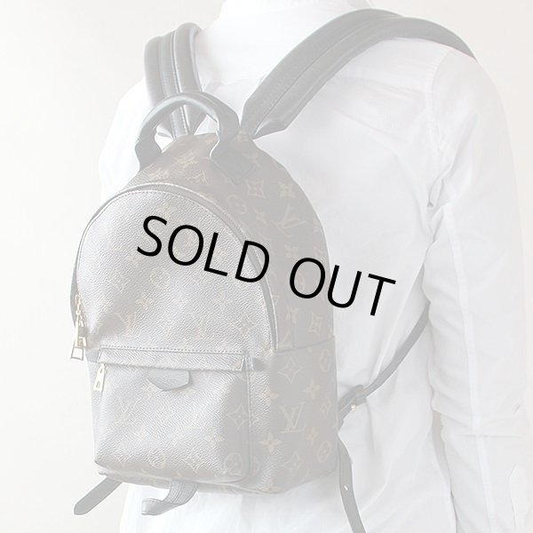 ルイ・ヴィトン　パームスプリングス バックパック PM M41560　背負ったイメージ