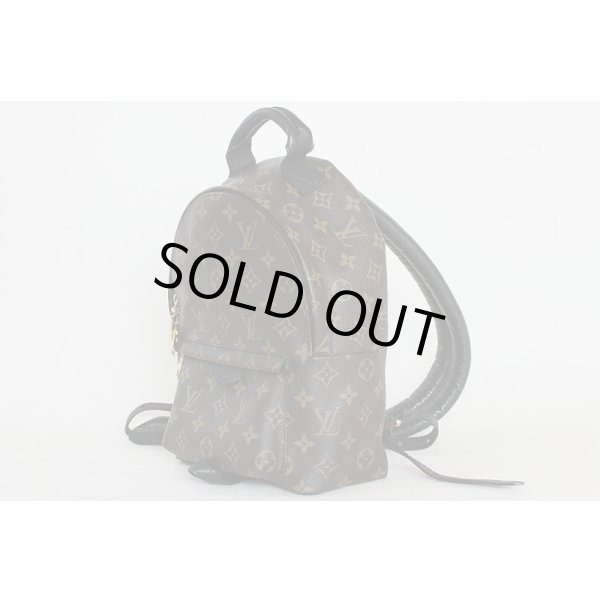 ルイ・ヴィトン　パームスプリングス バックパック PM M41560　サイド