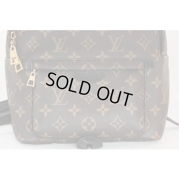 ルイ・ヴィトン　パームスプリングス バックパック PM M41560　拡大