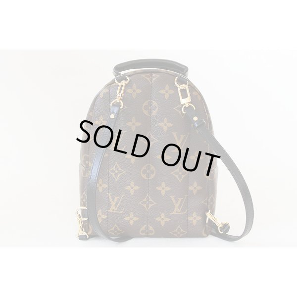 ルイ・ヴィトン　パームスプリングス　バックパックMINI　M41562　裏面(2)