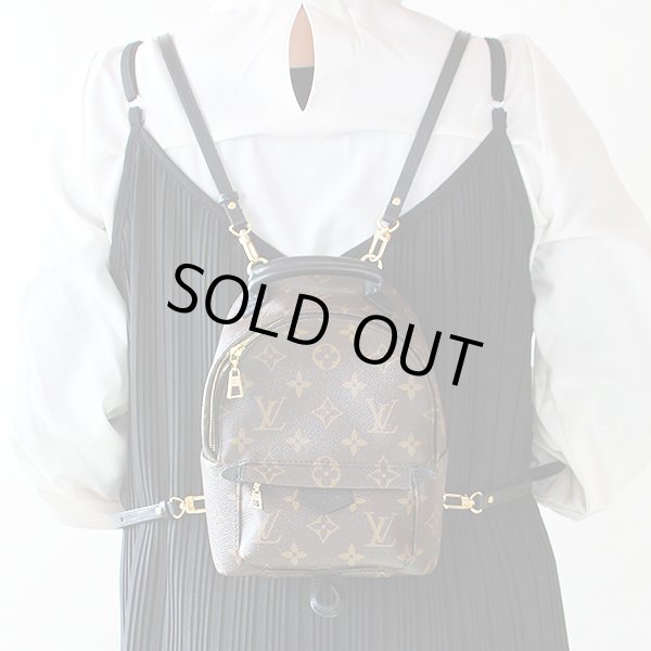 ルイ・ヴィトン　パームスプリングス　バックパックMINI　M41562　背負ったイメージ