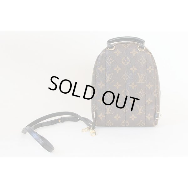 ルイ・ヴィトン　パームスプリングス　バックパックMINI　M41562　裏面(1)