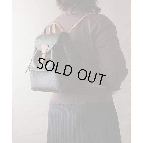 ルイ・ヴィトン　モンスリ NM PM M45501　背負ったイメージ