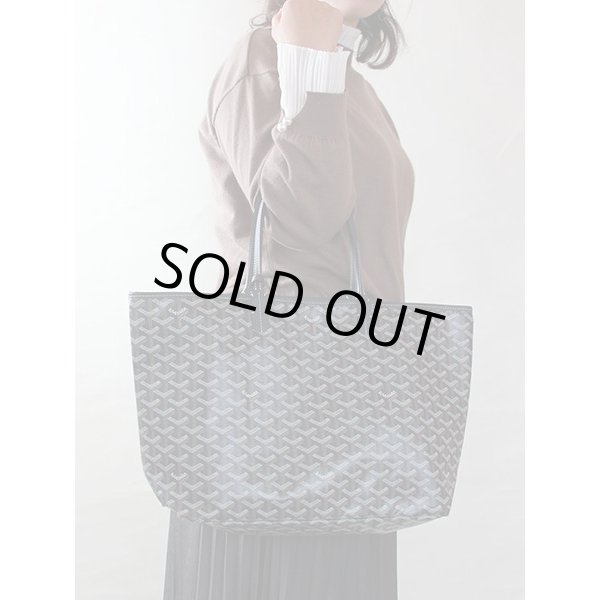 ゴヤール　サンルイPM ネイビー　持ったイメージ