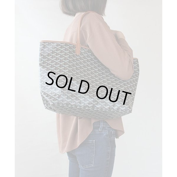 ゴヤール　サンルイPM ノワール／ナチュラル　掛けたイメージ